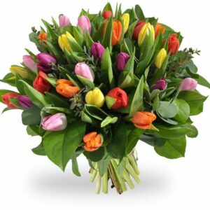 Tulpen boeket